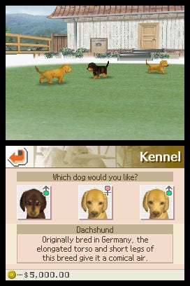 Nintendogs: Dachshund & friends (brukt) - Nintendo DS spill