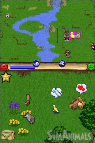 Gameplay-bilde fra Sim Animals – Nintendo DS spill