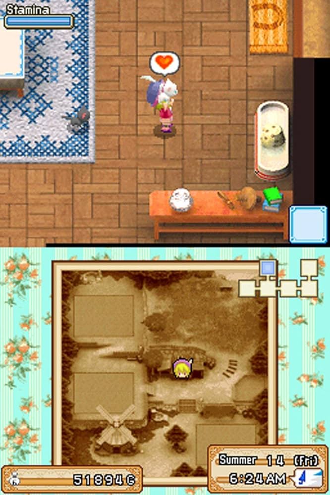 Gameplay-bilde fra Harvest Moon Ds Grand Bazaar Brukt Nintendo Ds Spill