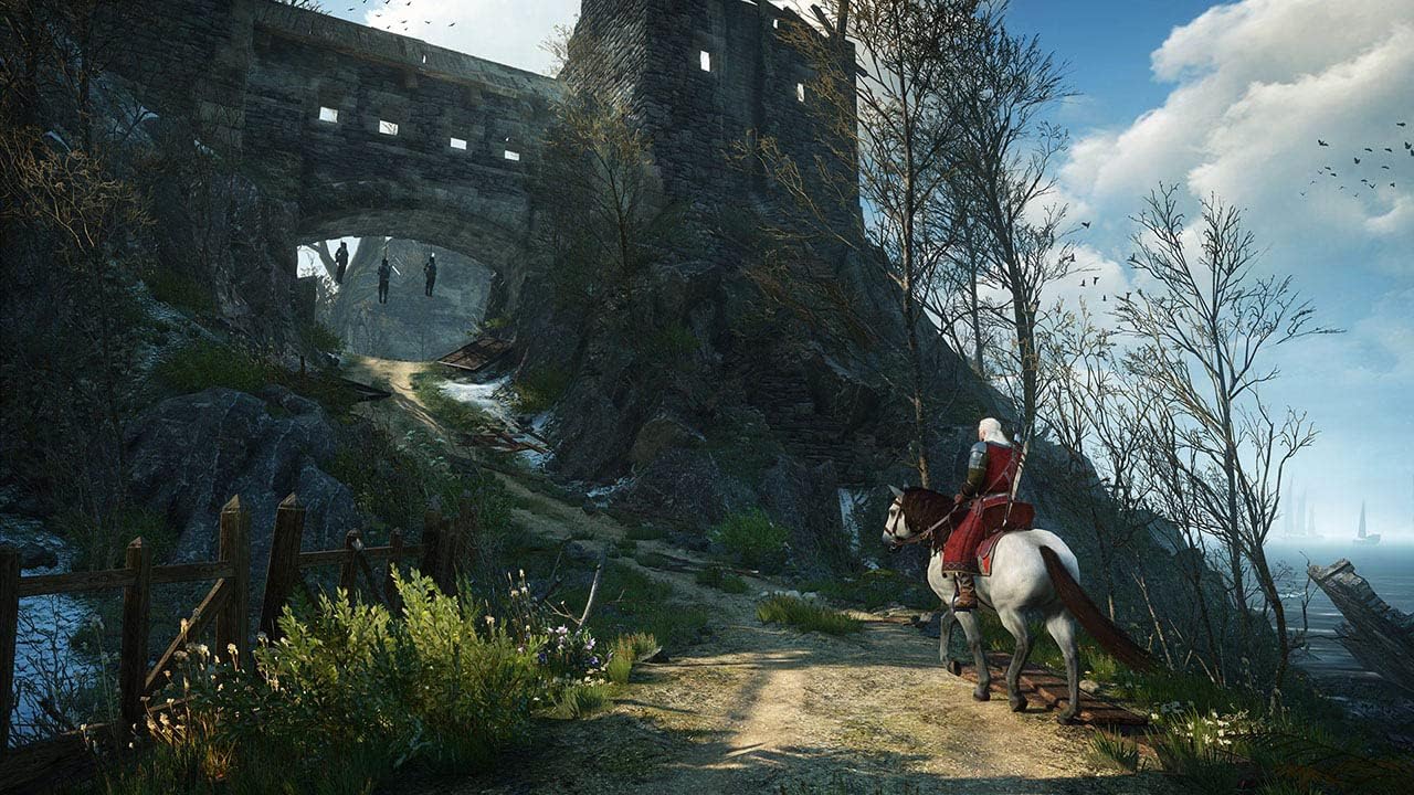 the witcher 3 - Wild hunt - Nintendo Switch spill