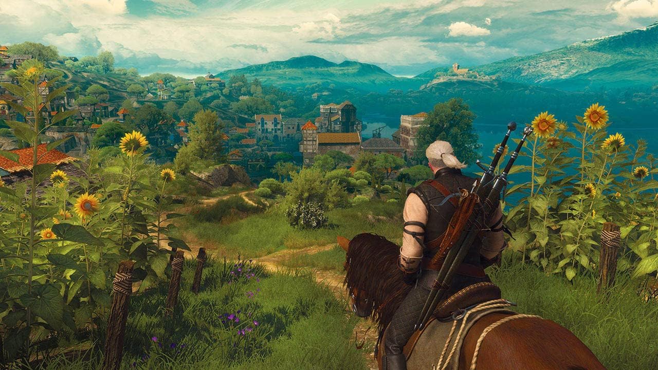 the witcher 3 - Wild hunt - Nintendo Switch spill