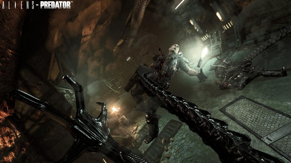 Bilde av Aliens Vs Predator Xbox360