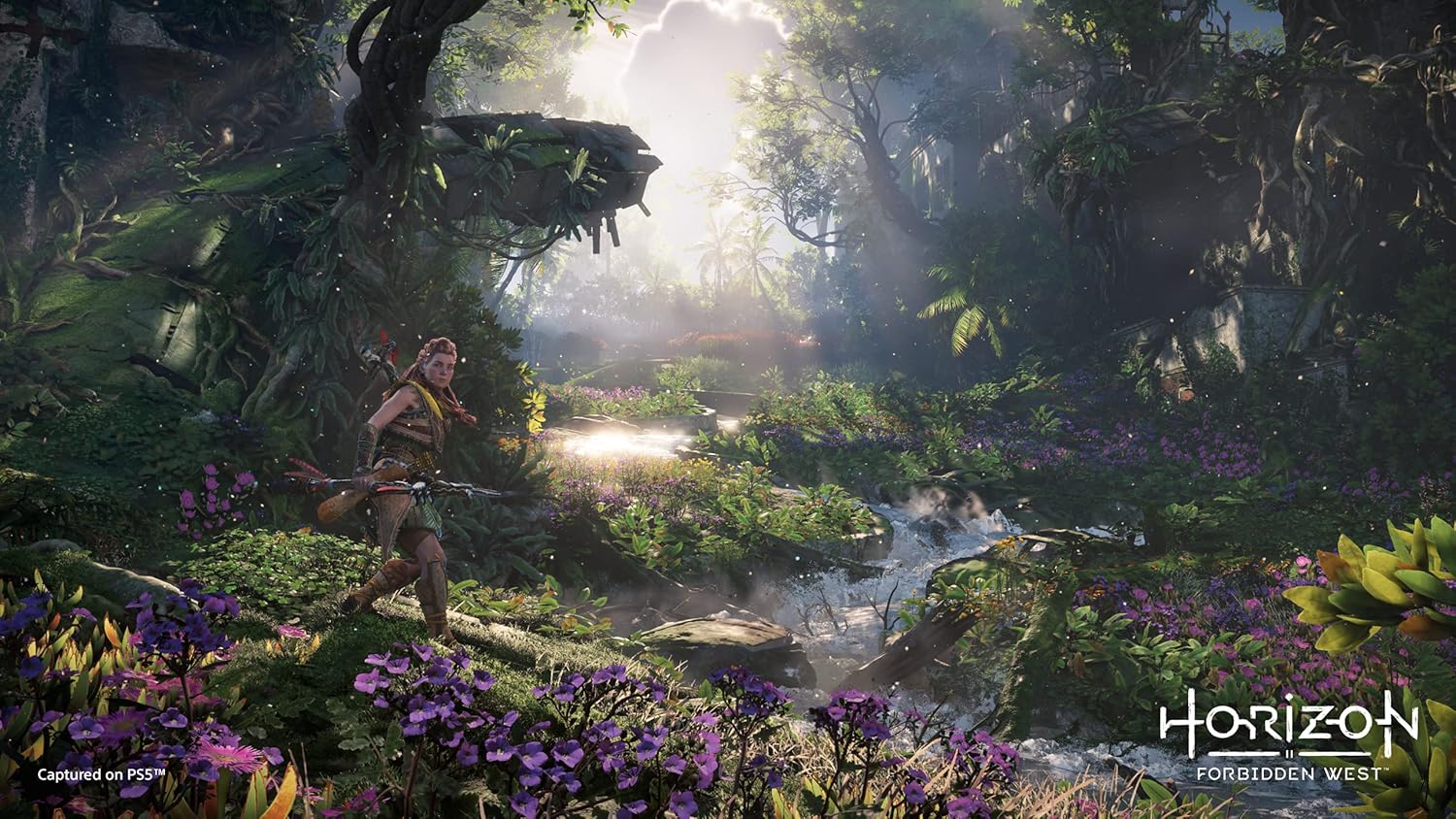 Gameplay-bilde fra Horizon - Forbidden west - Playstation 4 spill (ps4)