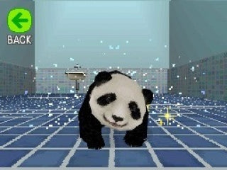 Petz My Baby Panda  – Nintendo DS spill