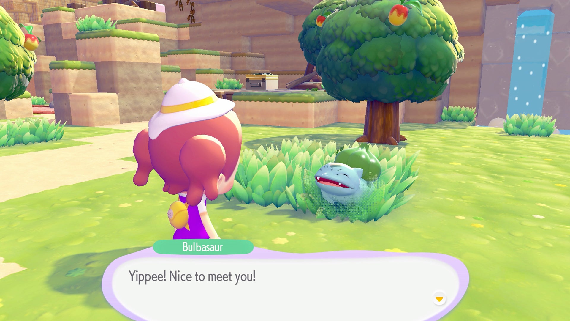 Pokemon pokopia - Nintendo Switch 2 spill