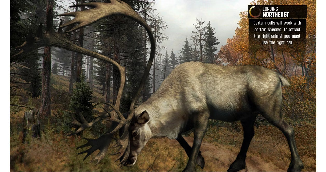 Cabelas Big Game Hunter – Xbox 360 spill