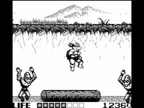 Teenage mutant ninja turtles - Fall of the foot clan - GameBoy spill