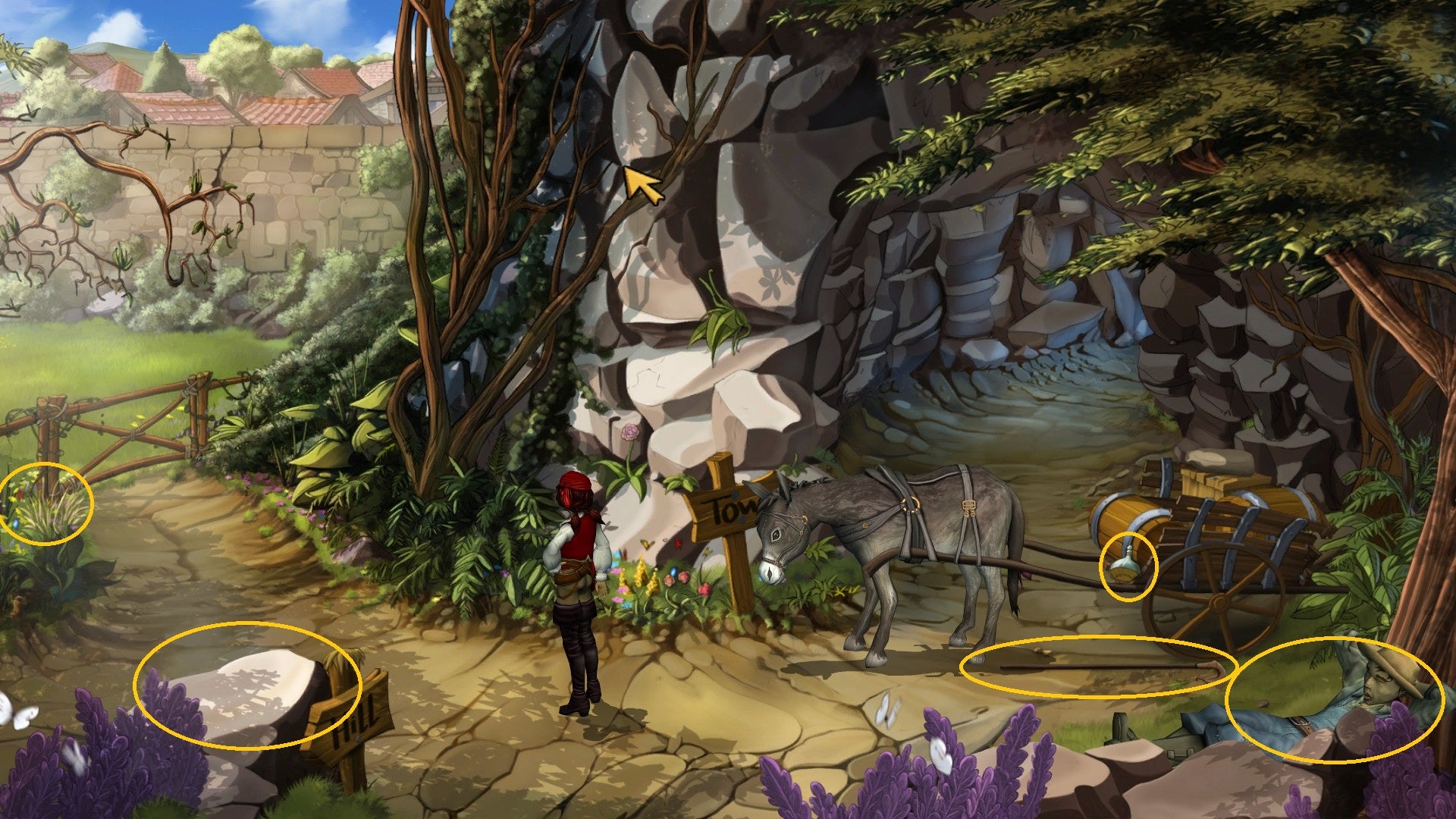 Captain Morgane and The Golden Turtle - Playstation 3 spill (ps3)