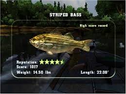 Rapala Fishing Frenzy 2009 – Xbox 360 spill