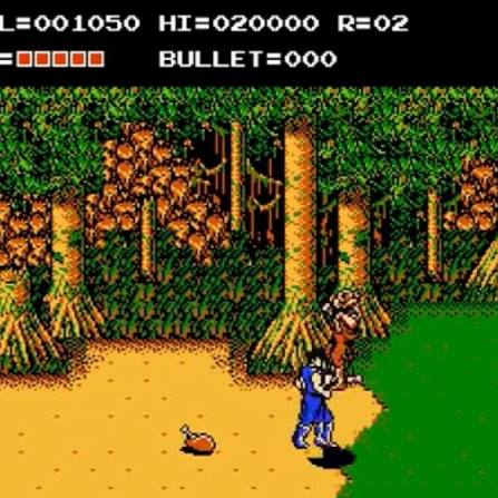 The adventure of Bayou Billy (USA) - Nintendo entertainment system / NES spill