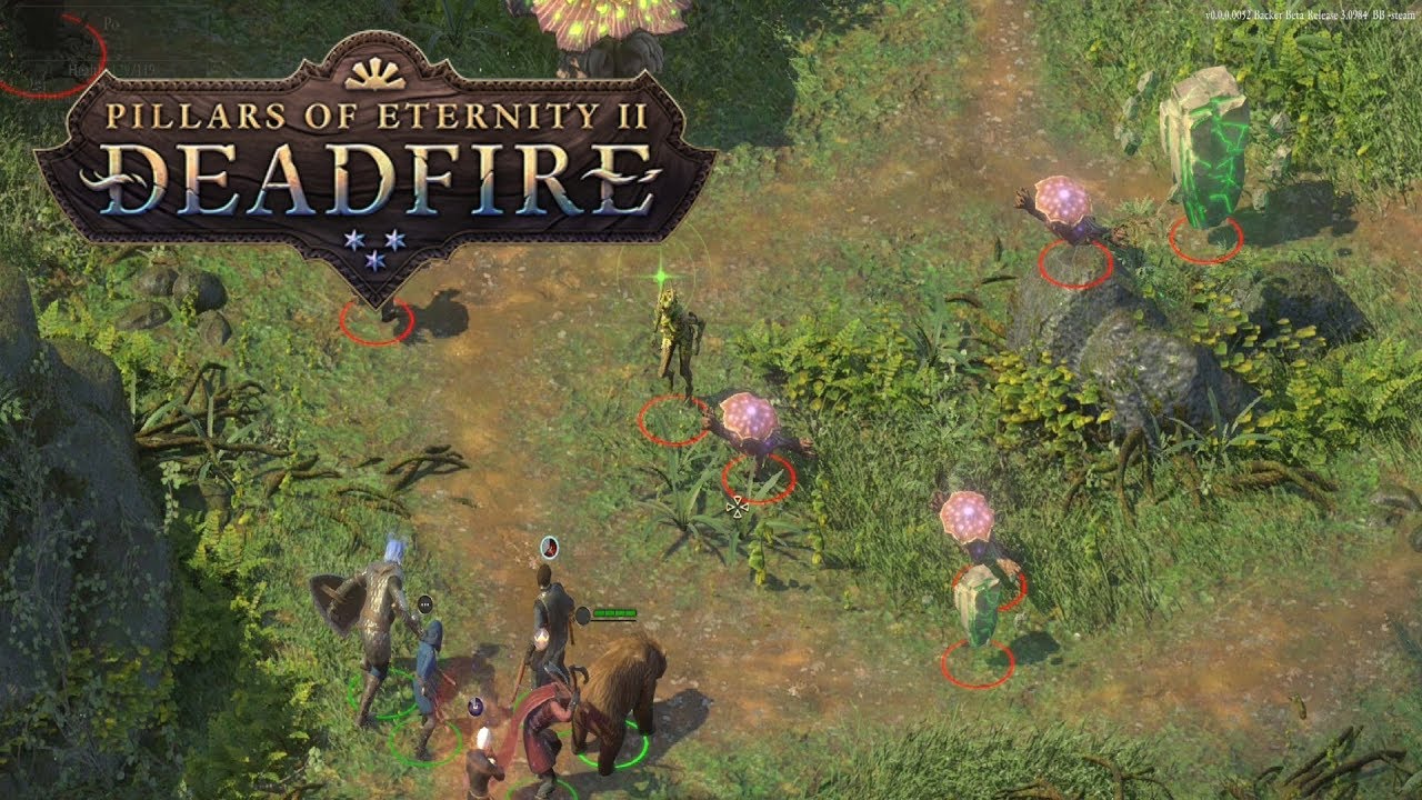 Gameplay-bilde fra Pillars Of Eternity 2 Deadfire Ultimate Edition Playstation 4 Spill Ps4