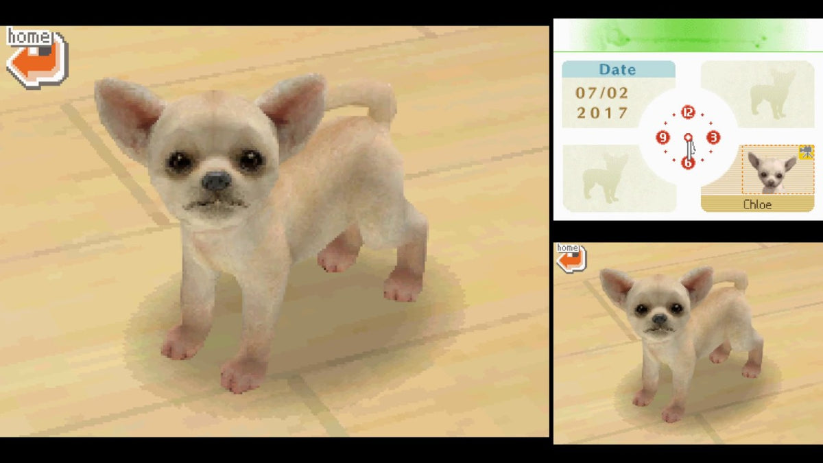 Nintendogs – Chihuahua & Friends - Nintendo DS spill