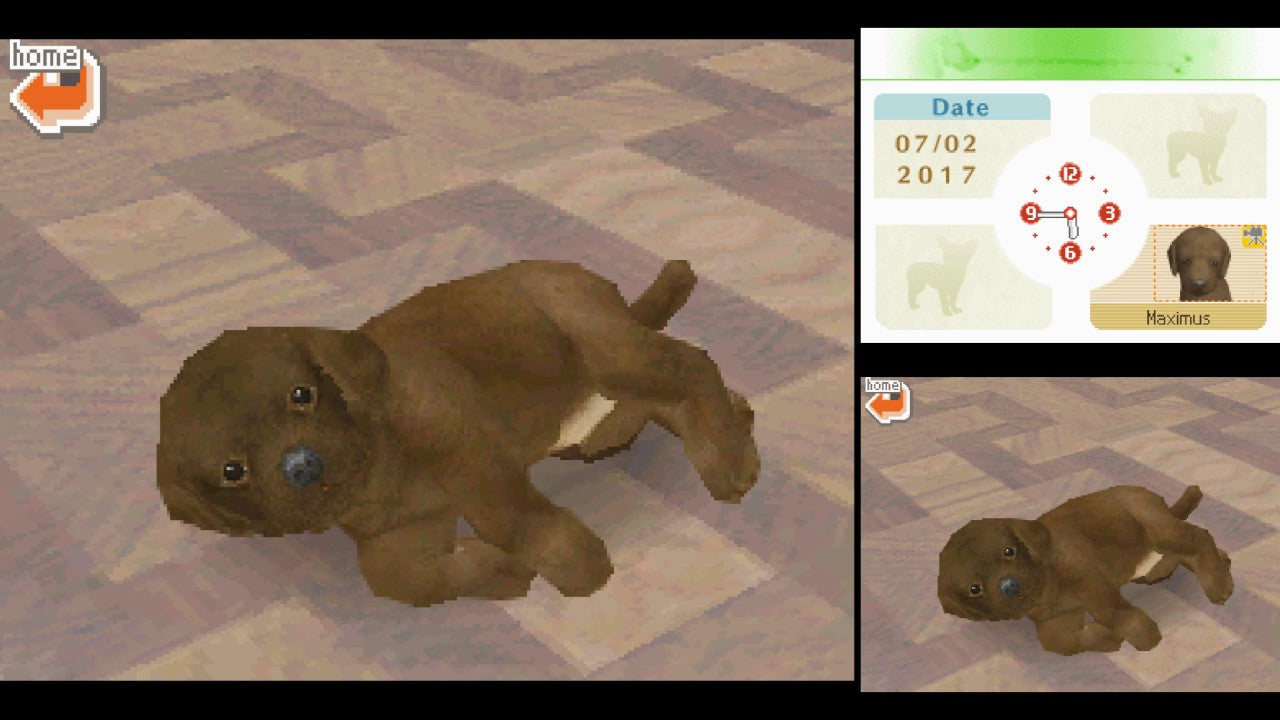 Nintendogs - Labrador & Friends - Nintendo DS spill
