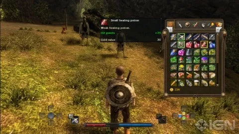 Gameplay-bilde fra Risen – Xbox 360 spill